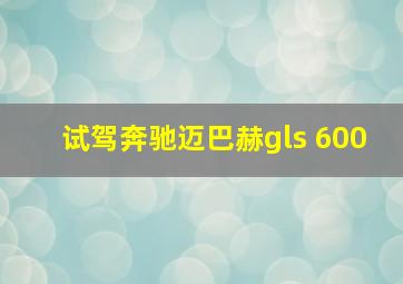 试驾奔驰迈巴赫gls 600